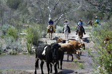 USA-New Mexico-Gila Wilderness Working Ranch